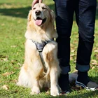 Hot Selling Dogs Collars Harnesses Leashes Pet Productos
