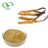 /product-detail/best-price-pure-natural-chinese-cordyceps-extract-powder-cordyceps-mycelium-extract-60759552439.html