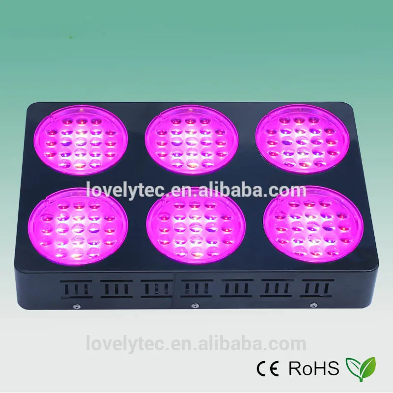 Spectrum king led coupon code