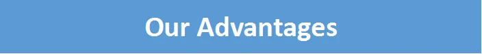 Our Advantages.png
