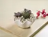 Cute Ceramic Home Garden Decoration Succulent Cactus Flower Planter Pot With Bamboo Tray