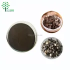 Pure Natural Moringa seed extract bulk powder Moringa pods extract