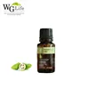 Pure Natural Plant Noni Seed Essential Oil for Cosmetic or Full Body Massage TO Korea USA POLAND