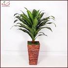 Hot sale artificial decorative tree house plants