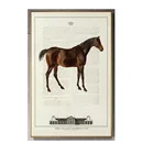 Printed Animal Canvas Art Framed Wall Art Painting