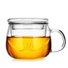 Heat Resistant Transparent Glass Cup Tea Cup Sets With Lid Infuser Filter
