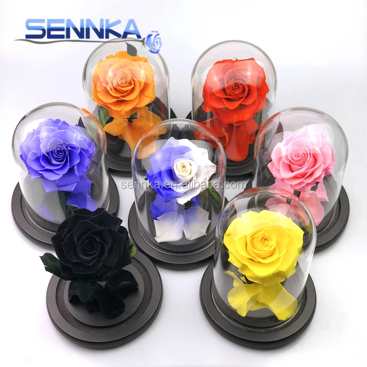 wholesale preserved flowers preserved rose in glass tube