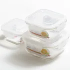 New design silicone lid pyrex glass food container bento box set with great price