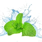 CAS:68917-18-0 100% Natural Pure essential mint oil prices in bulk for fragrance flavor oil, diffuser oil