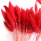 Wholesale dry flowers bouquet bunny rabbit tails grass dried lagurus ovatus
