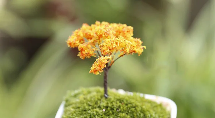 HTB1_sohIVXXXXb3XFXXq6xXFXXXn