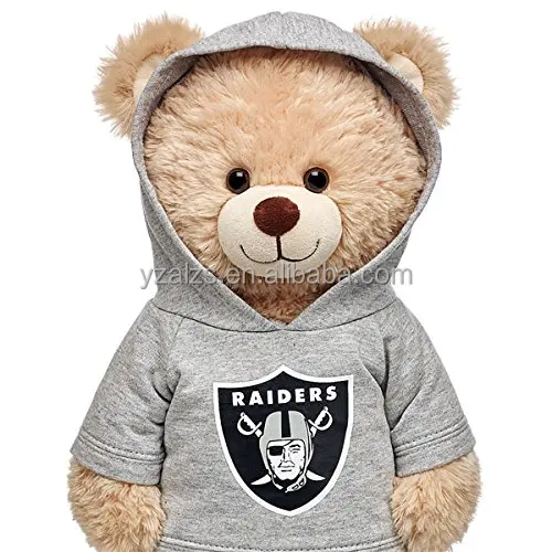 teddy bear wearing hoodie