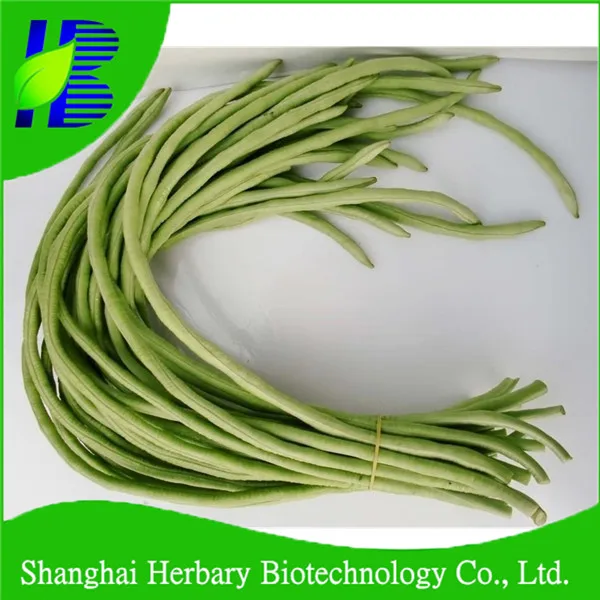 high yield vegetable seed long bean seeds for sale