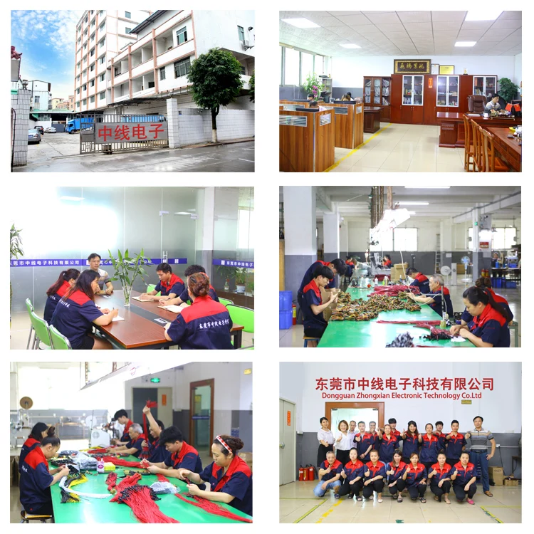 Dongguan Zhongxian cable
