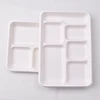Biodegradable Sugarcane Pulp Tray with Compartment