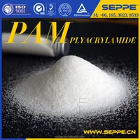 Industrial Chemical PAM Anionic Polyacrylamide For
