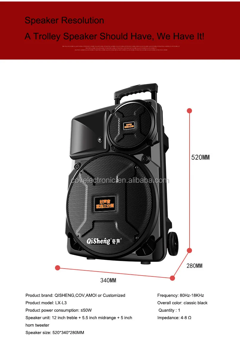 COV Private Mould NEW Promotional party Speaker, Good Sound plastic portable trolley speaker with Mega bass 12 inch /FM - ANKUX.COM