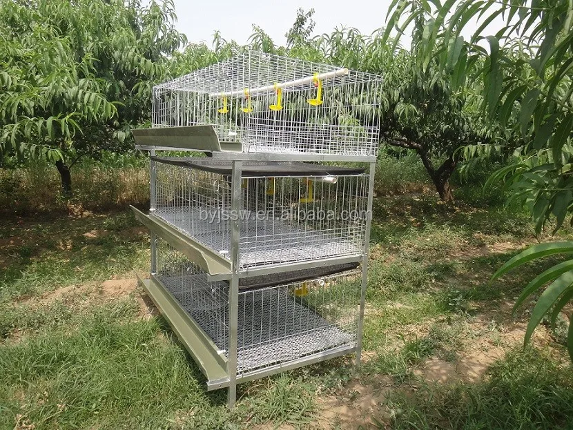 broiler cage.JPG
