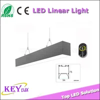 5000k Commercial Led Funky Pendant Work