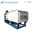 high quality vindustrial freeze drying equipment GZL-10 freeze dry system oven