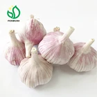 Chinese/China Fresh Purple/Red Garlic 2019 new crop