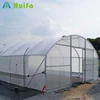 /product-detail/low-cost-agriculture-tropical-greenhouse-polyhouses-for-vegetable-60601974982.html
