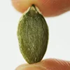 /product-detail/pumpkin-seeds-kernels-shine-skin-grade-aaa-60508524352.html