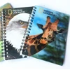 Undated Day Guaranteed to Get You Organized Planner