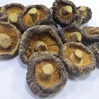 Daily Health Supplement Organic Dried Shiitake Mushroom