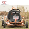 /product-detail/tl-e05-2018-new-250w-mini-buggy-for-kids-with-cheap-price-60750036577.html