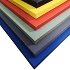 IJF Standard MMA Tatami Judo Jujitsu PU Foam Mat