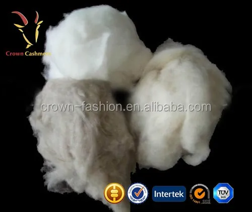 worsted quality cashmere goat the wool fibers to