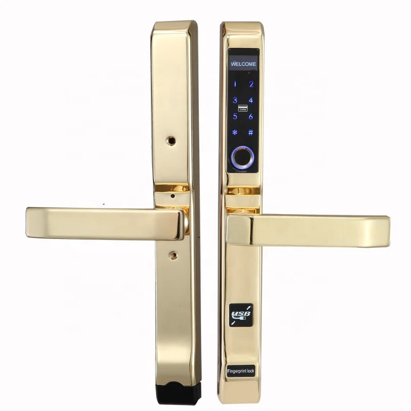 Top Keyless Door Locks Digital Biometric Lock For European Doors Buy Biometric Interior Door Locks Fingerprint Door Opener Top Keyless Door Locks