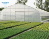 /product-detail/commercial-single-span-agricultural-tents-for-flower-tunnel-invernadero-62118686726.html
