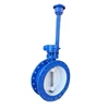 /product-detail/flanged-butterfly-valve-with-extension-spindle-60390164271.html
