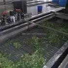 continuous Mesh Belt Dryer for Vegetable &fruits