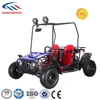 /product-detail/2013-latest-110cc-buggy-lmgk-110-1195137760.html