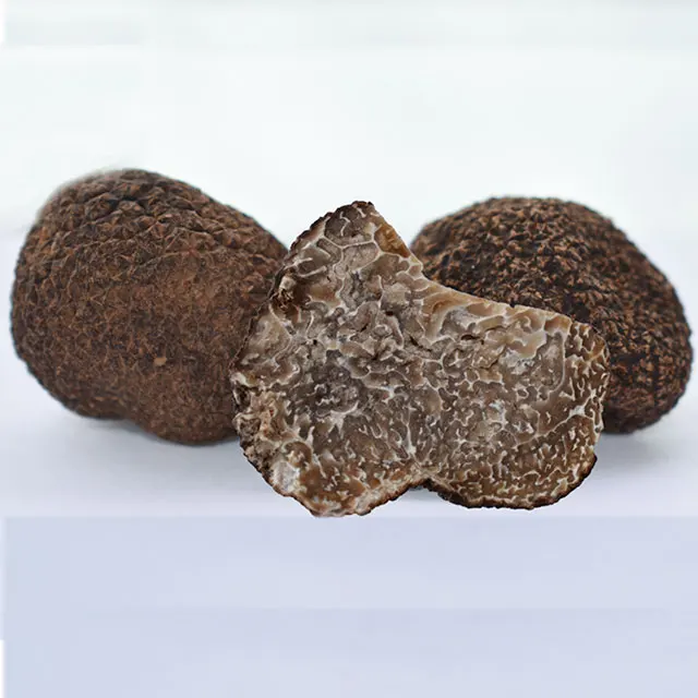 Tuber Melanosporum Fresh Truffles from yunnan province, China (with FDA)