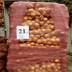 Fresh onion export yellow onion new crop