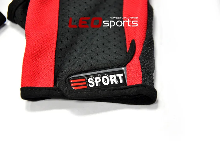 495399940_2050739421