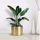 customize European style metal plated planter pot or anodized aluminium plant pot