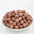 100% Natural Planting Dried Red Lotus Seeds
