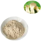 100% pure mushroom chitosan/water soluble chitosan/powder chitosan