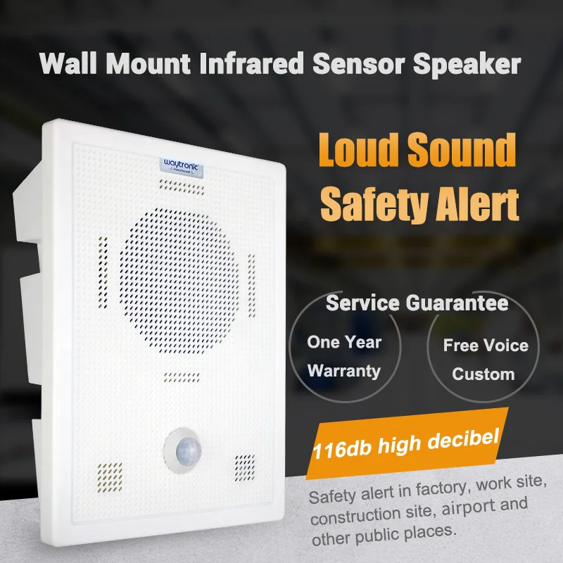 motion sensor speaker (2)