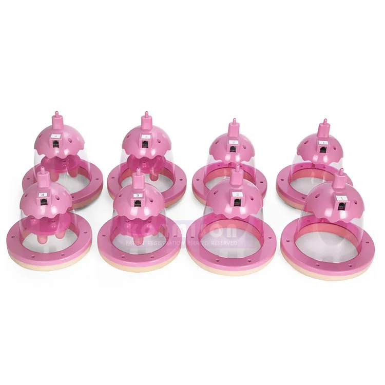 Breast Enhancement Machine FX035 (7).jpg