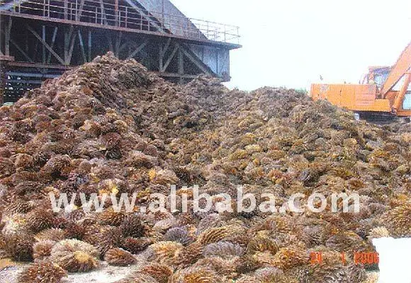 Empty Fruit Bunches (EFB)