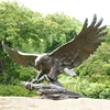 Casting carving large flying eagle catching fish statue bronze hawk sculpture