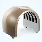 Hot Items 2019 New Products LED/PDT Light Therapy Machine