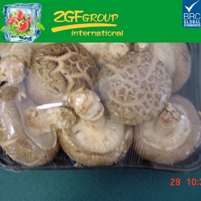 fresh delicious king oyster mushroom