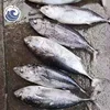 Chinese Seafood Frozen Big Eye Tuna Fish